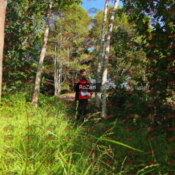 Runner Photo 4669