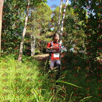 Runner Photo 4672