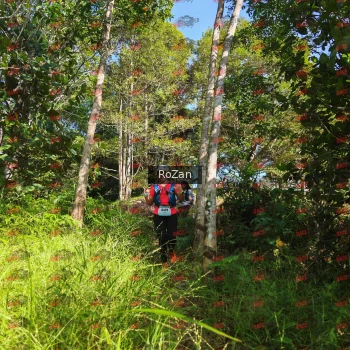 Runner Photo 4706