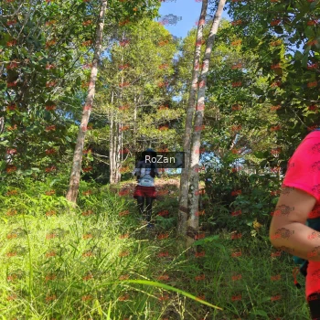Runner Photo 4713