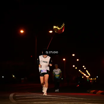 Runner Photo 4716396