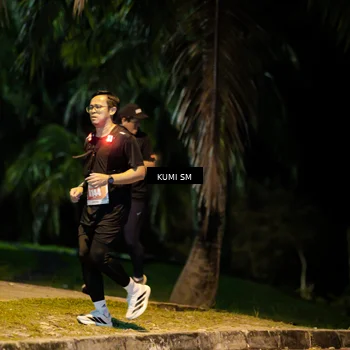 Runner Photo 4727245