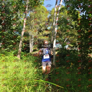 Runner Photo 4728