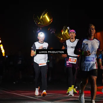 Runner Photo 4728592