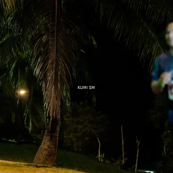 Runner Photo 4728646