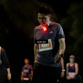 Runner Photo 4729574