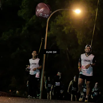 Runner Photo 4730255