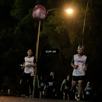 Runner Photo 4730260