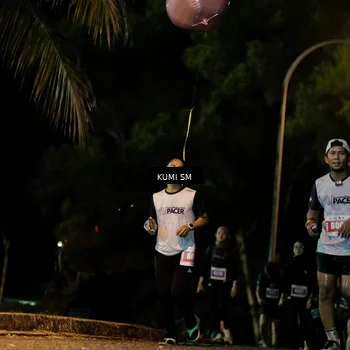 Runner Photo 4730321