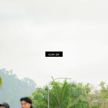 Runner Photo 4733344
