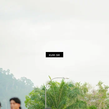 Runner Photo 4733514