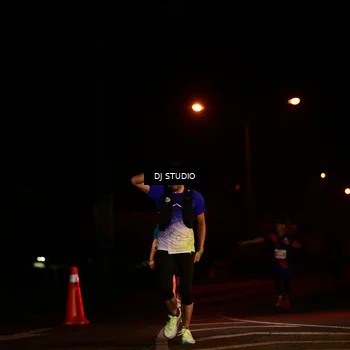 Runner Photo 4737883