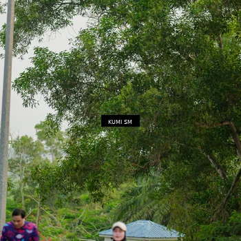 Runner Photo 4739891