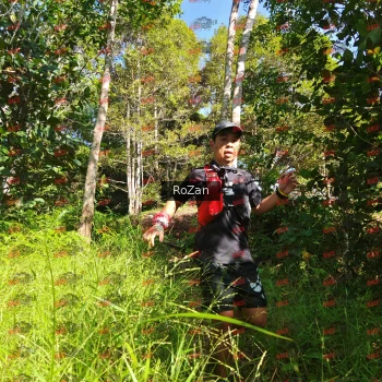 Runner Photo 4743