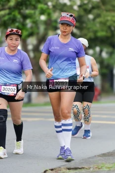 Runner Photo 47434