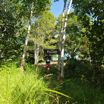 Runner Photo 4747