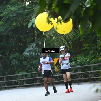 Runner Photo 4753388