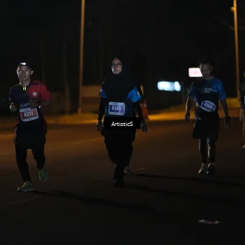 Runner Photo 4755641