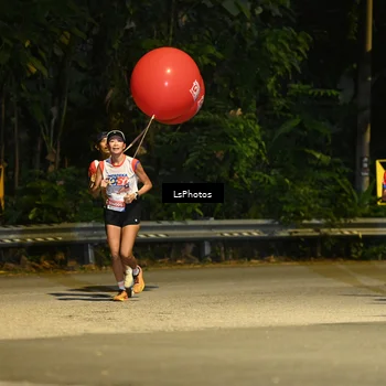 Runner Photo 4756208
