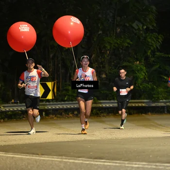 Runner Photo 4756230