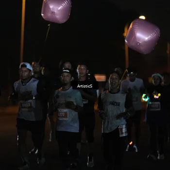 Runner Photo 4761425
