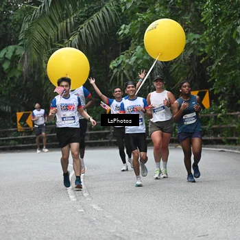 Runner Photo 4762635