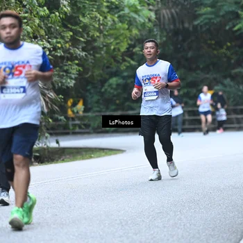 Runner Photo 4764286
