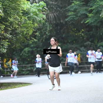 Runner Photo 4766048