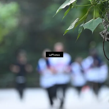 Runner Photo 4766570