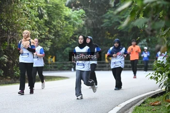 Runner Photo 4767030