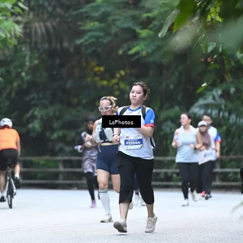 Runner Photo 4767107