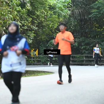 Runner Photo 4767116