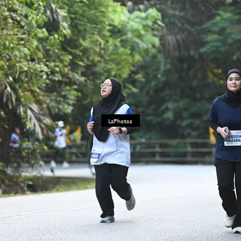 Runner Photo 4767254