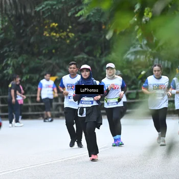 Runner Photo 4767261