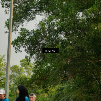 Runner Photo 4768244