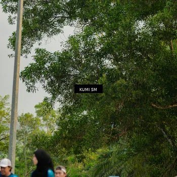 Runner Photo 4768264