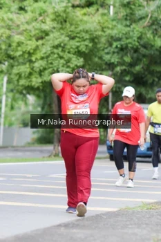 Runner Photo 47701