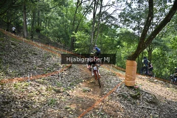 Runner Photo 4771454