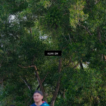 Runner Photo 4771789