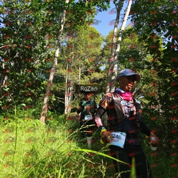 Runner Photo 4777