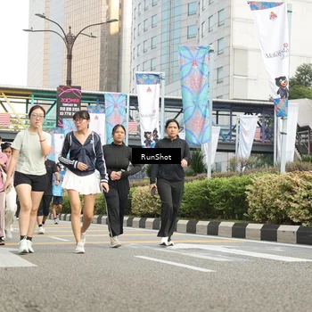 Runner Photo 4785158