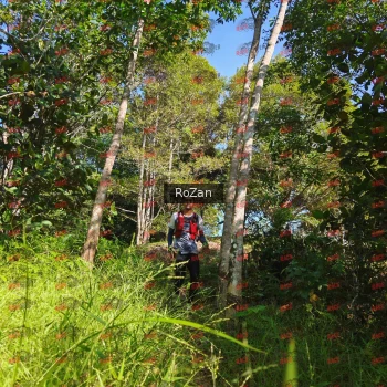 Runner Photo 4788