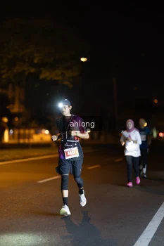 Runner Photo 4797507
