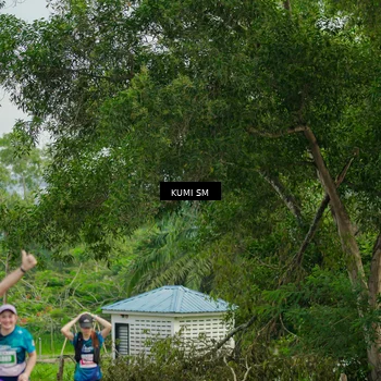 Runner Photo 4800099