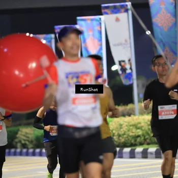 Runner Photo 4800579