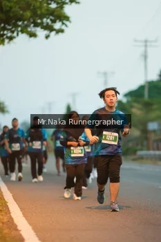 Runner Photo 4801568