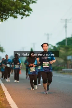 Runner Photo 4801585