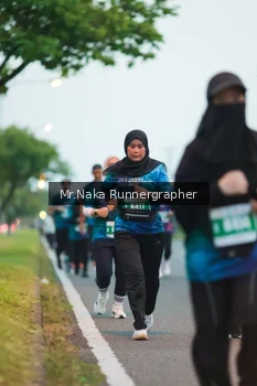 Runner Photo 4801851