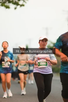 Runner Photo 4805380