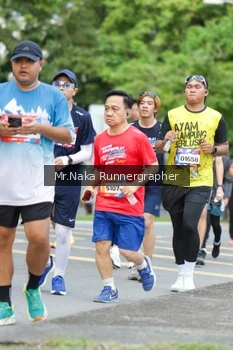Runner Photo 48135